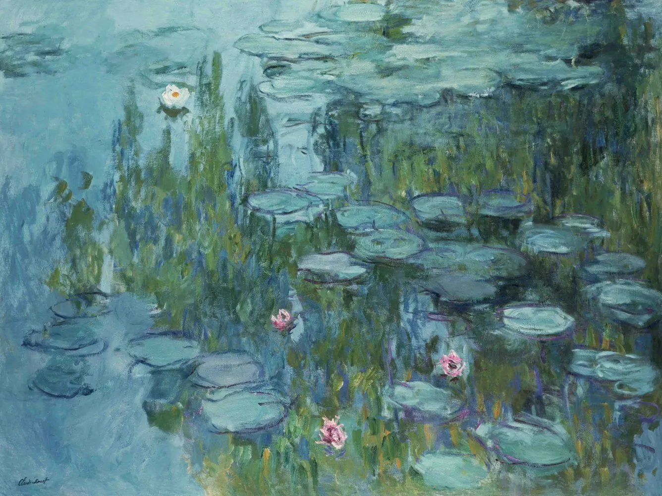 Bild zu Eine Seerose ist eine Seerose ist eine Seerose